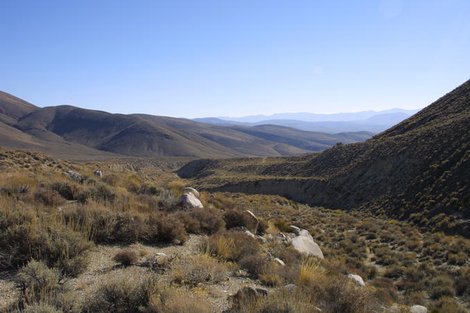 The view to the east, looking back to Waucoba Spring.