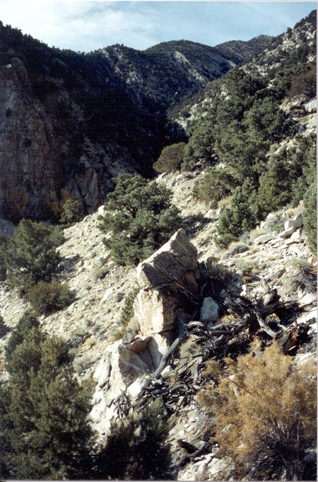 Looking west from the confluence up the narrow side canyon.