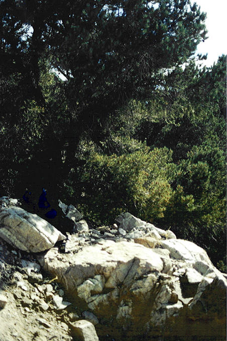 A rock ledge at the confluence