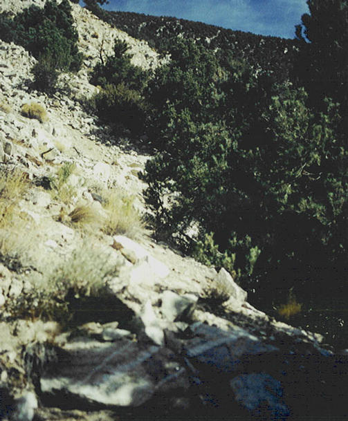 Looking east up the canyon wall back toward Waucoba Canyon