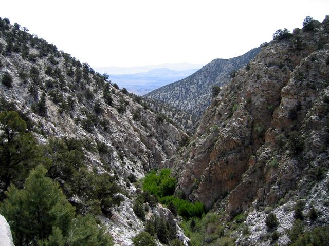 View east towards Saline Valley