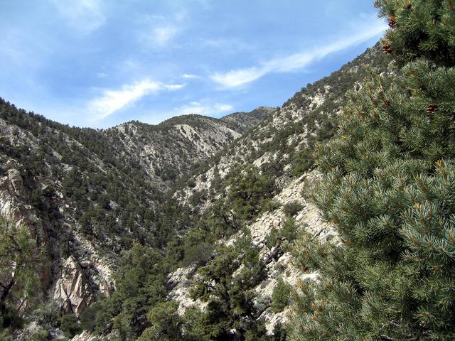View west towards Waucoba Mountain