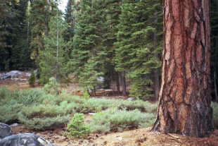 #1: A view from the confluence (panorama #1)