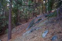#3: View South (along the hillside)