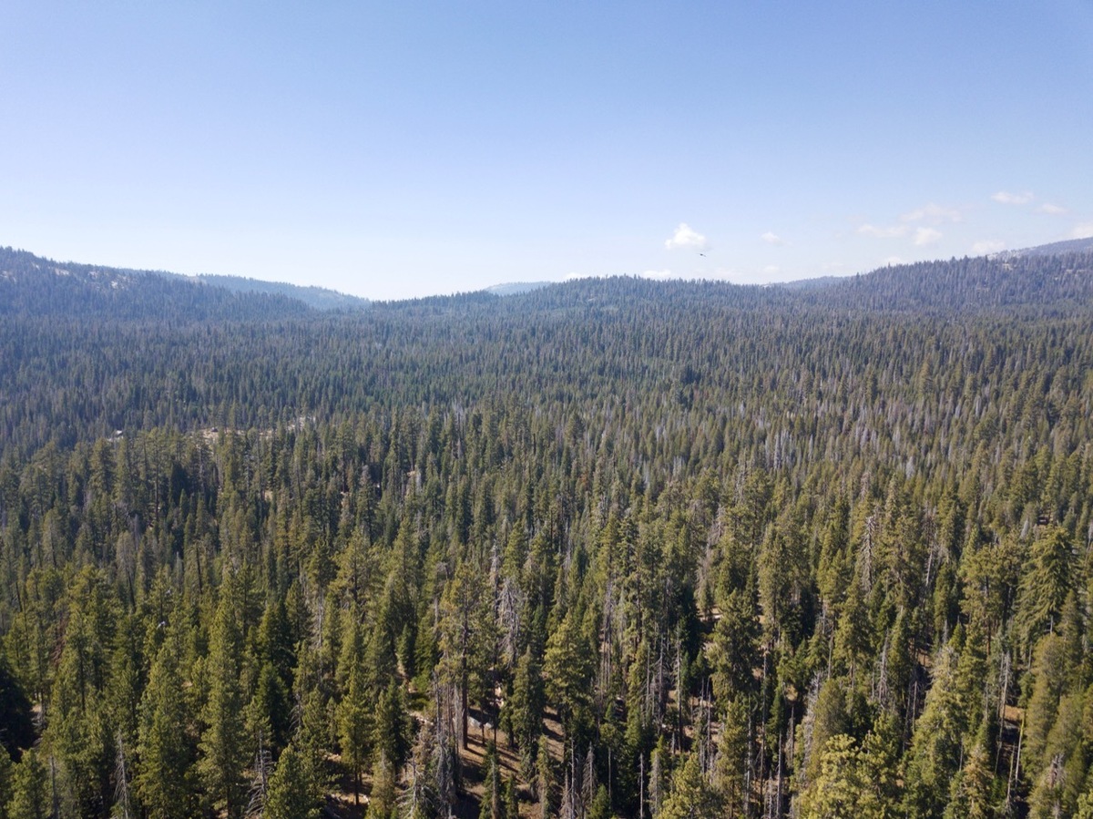 View West, from 120m above the point