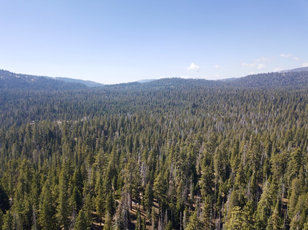 View West, from 120m above the point