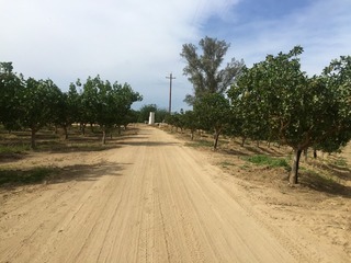 #1: View North (towards Island Drive)