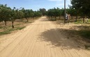 #3: View South (towards the farmhouse, barely visible in the distance)