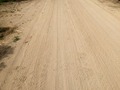 #5: The confluence point lies on this dirt driveway, in an almond plantation