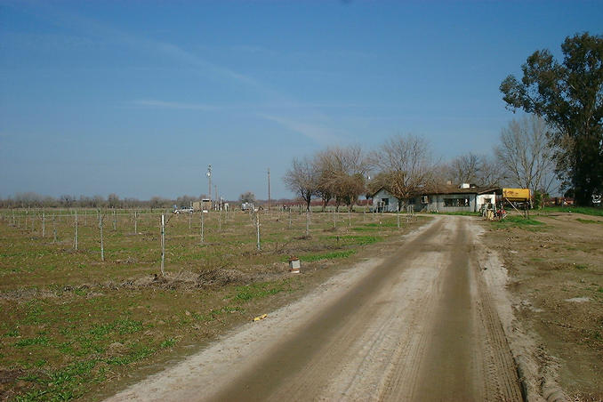 Looking North