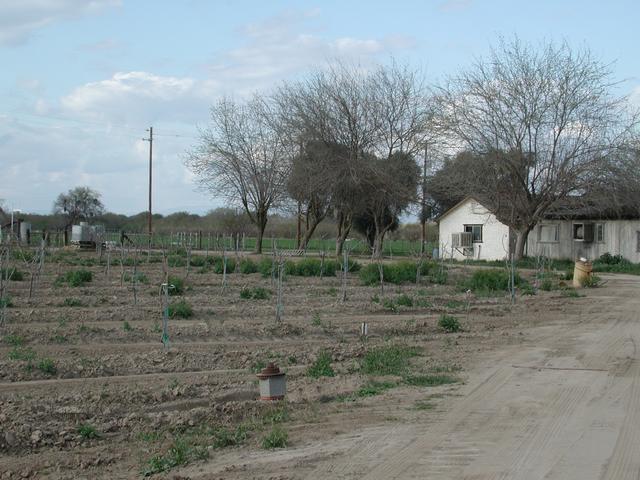 Looking north