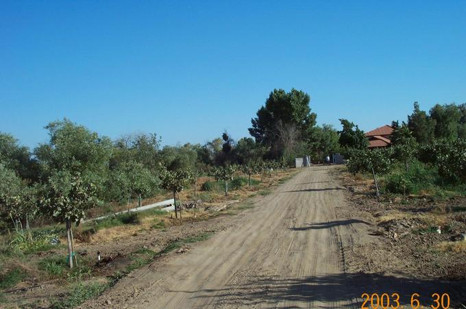 Looking south down the driveway of the nice house