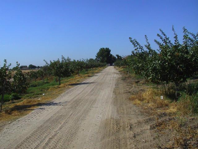 The view down the driveway.  I got all zeros about halfway down.