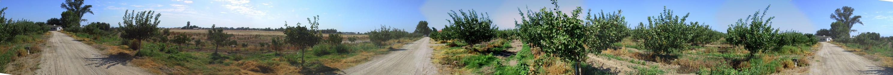 360 degree panorama taken in the area of the confluence.