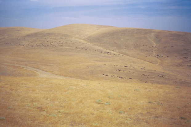 Looking northwards from the confluence (Panorama #1)