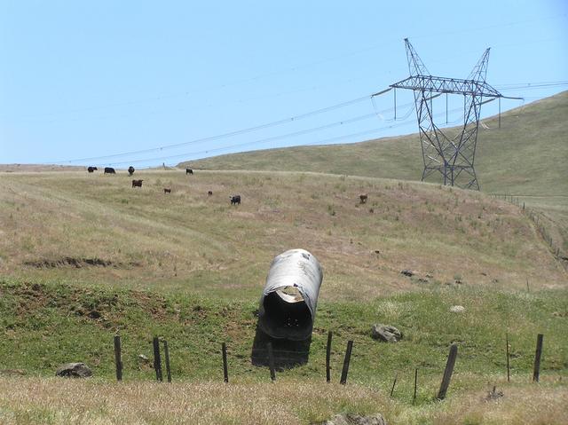 View to the south, about 80 meters west of the confluence.