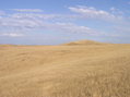 #3: View East