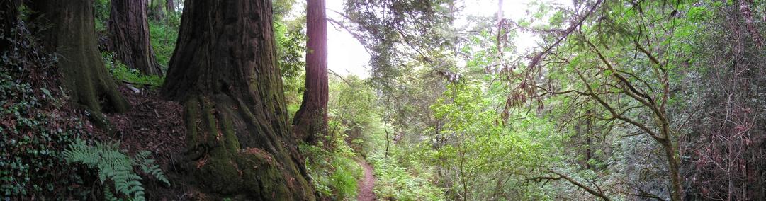 Confluence panorama