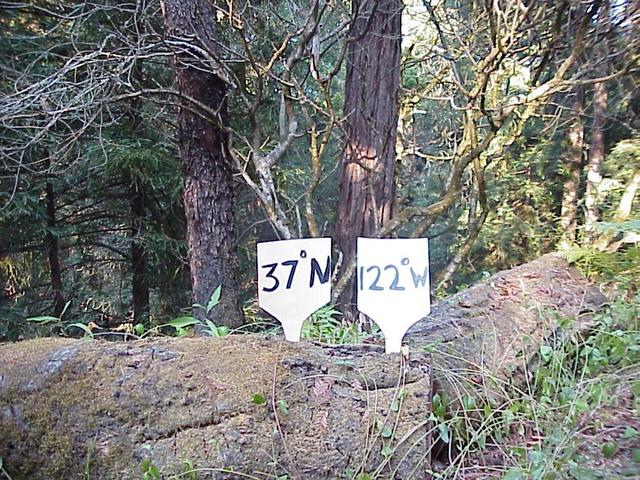 Confluence site in the Coast Range of California, 5 km from the Pacific Ocean, looking north.