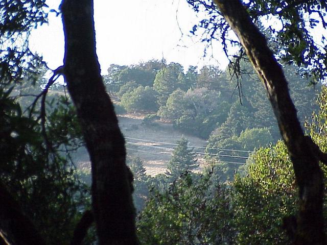 View to the west, taken 7 meters west of the confluence.