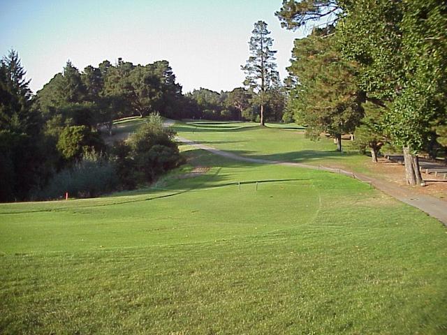 Tenth fairway of DeLaveaga Golf Course; the confluence lies to the left of the fairway.