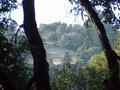 #5: View to the west, taken 7 meters west of the confluence.