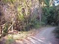 #7: View to the east from the confluence, showing the trail.