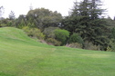 #2: View to the southwest through the fairway to the trail leading to the confluence.