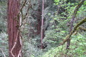 #4: View to the east-northeast from the confluence point.