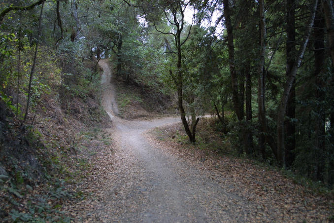 This trail leads from the Green to the Confluence.