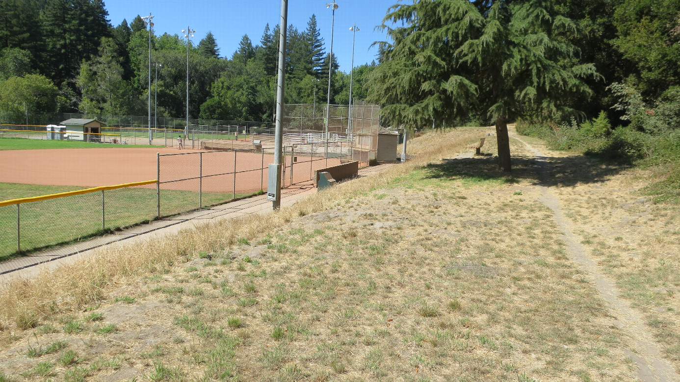 Path Along Ballfield One