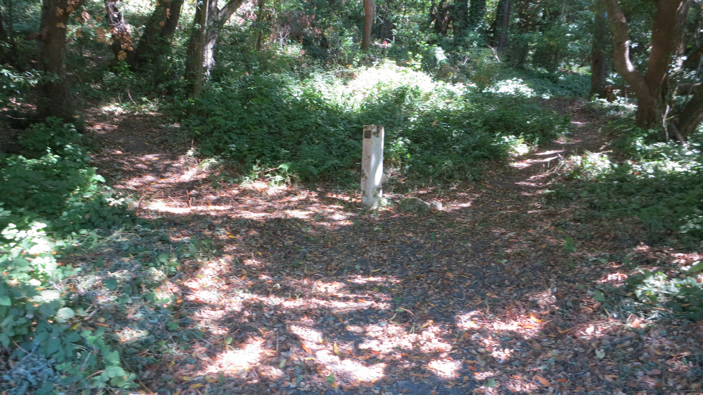 Monument in Clearing