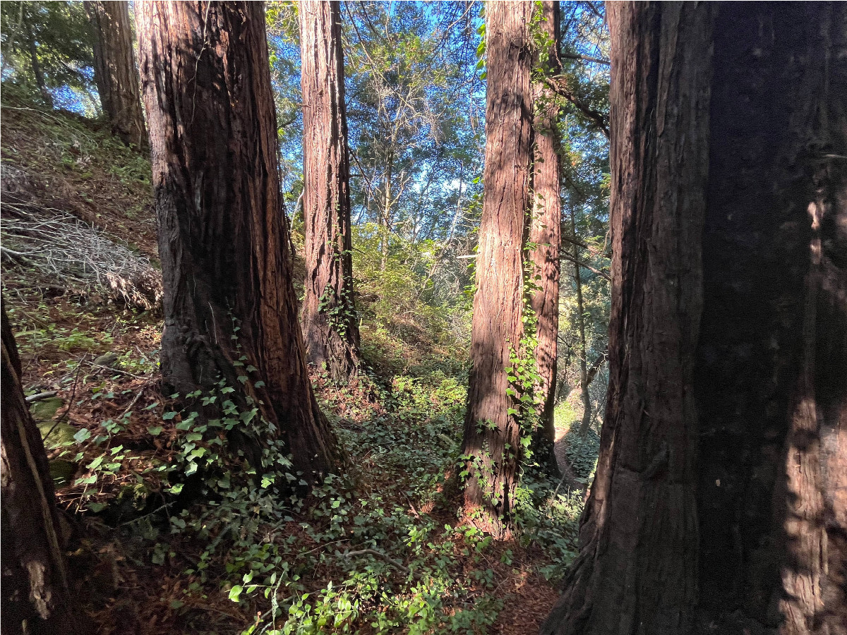 View from the confluence point, looking west