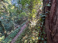 #4: View from the confluence point, looking east