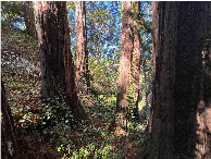 #6: View from the confluence point, looking west