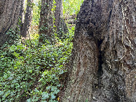 #2: View to the south