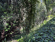 #3: View to the east