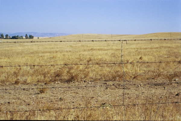 Looking east