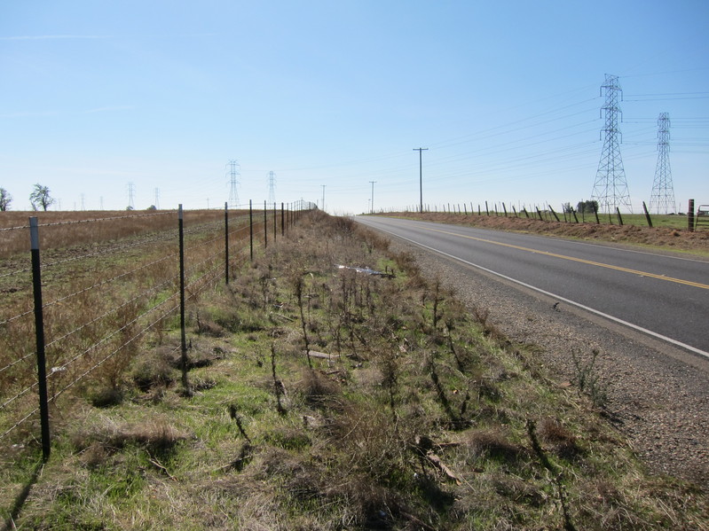 View looking south