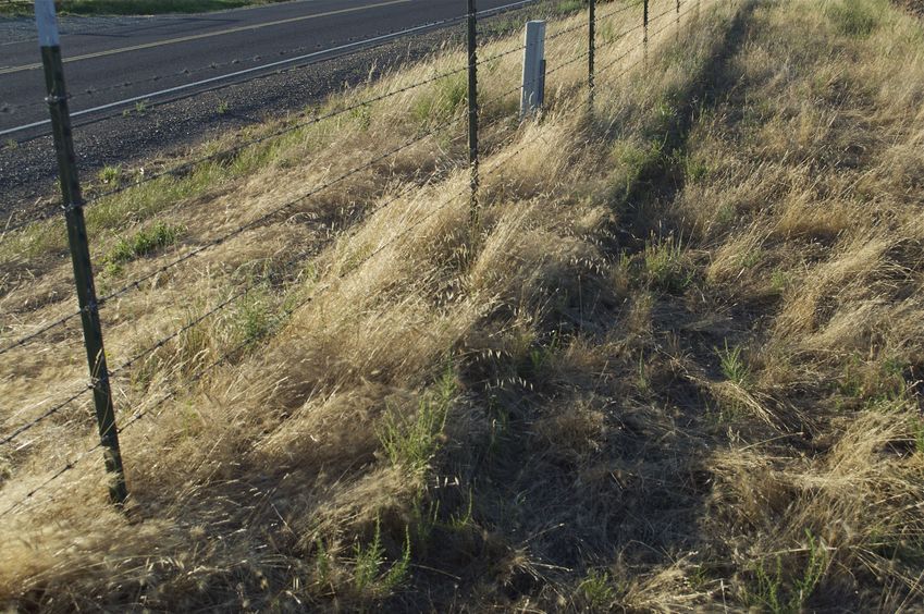 The confluence point lies just inside this barbed wire fence