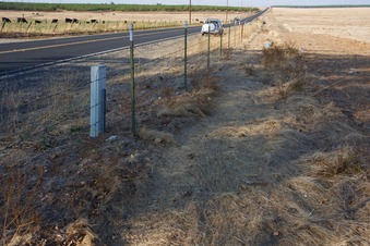 #1: The confluence point lies just inside this farm fence, next to the Escalon-Bellota Road