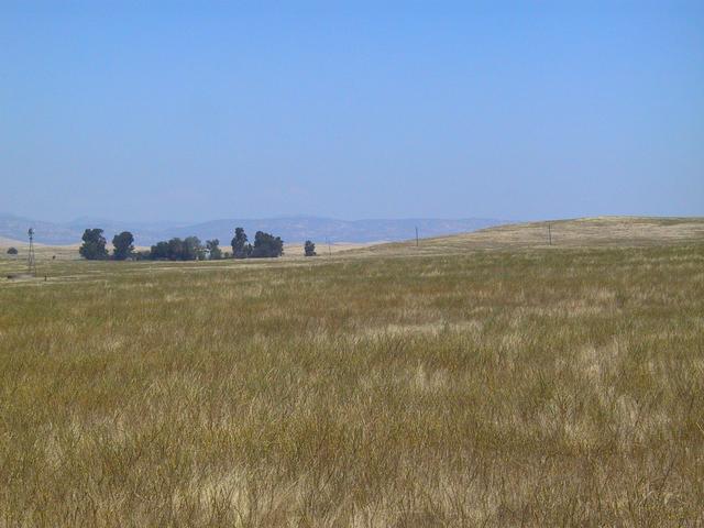 The view east from the confluence.