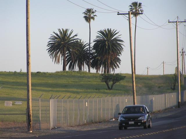 View to the south from the confluence.