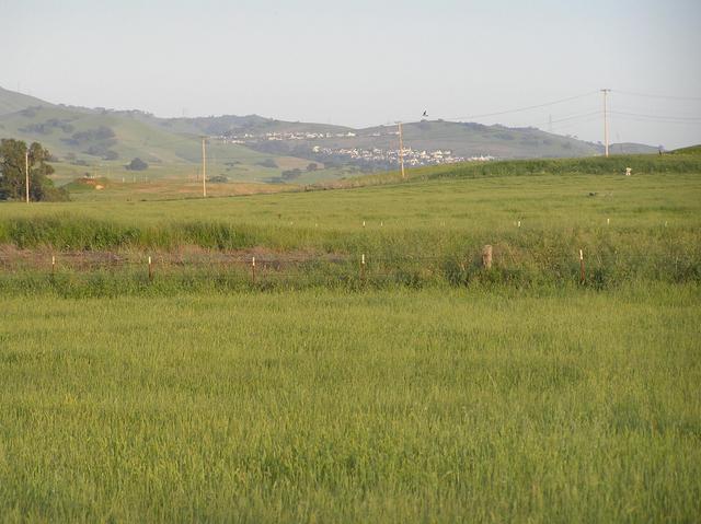 View to the southeast from the confluence showing typical California homes on hillsides.