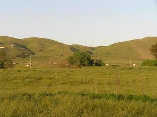 #1: View to the northeast from the fence, showing the confluence of 38 North 122 West in this meadow.