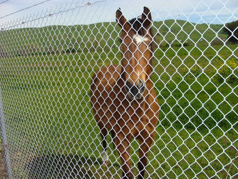 This local resident has 24/7/365 access to the ten zero spot!