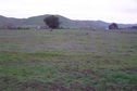 #3: View to the east from the fence.  The confluence is in the middle of this field.