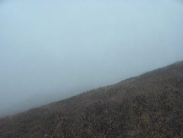 View to east