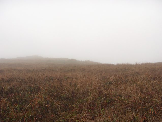 View to south