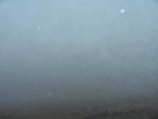 View to north - impossible to see the pond